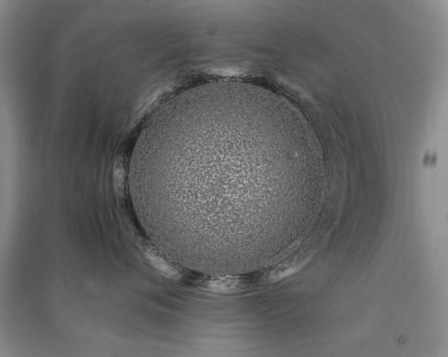X0000091520720200708171216