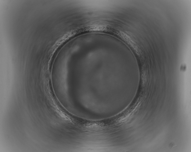 X0000091520721200708171216