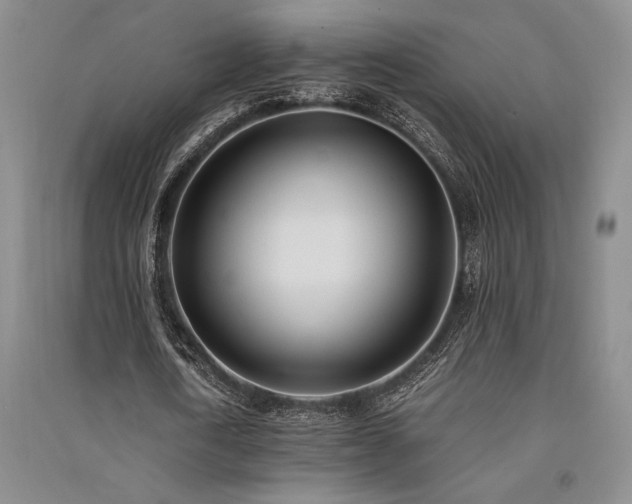 X0000091520722200708171216