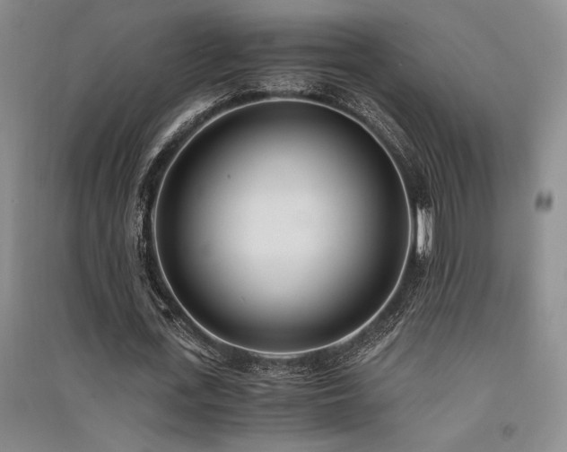 X0000091520723200708171216