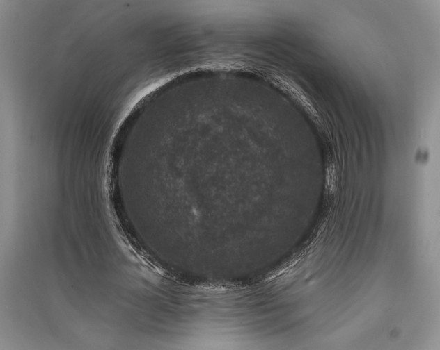 X0000091520724200708171216