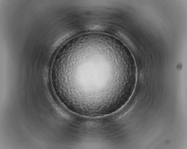 X0000091520725200708171216