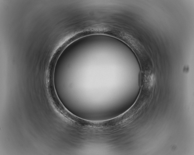 X0000091520726200708171216