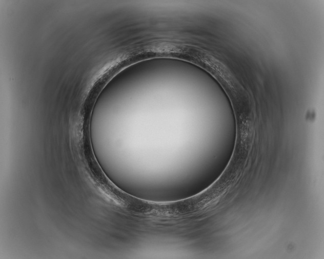X0000091520727200708171216