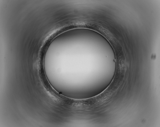 X0000091520728200708171216