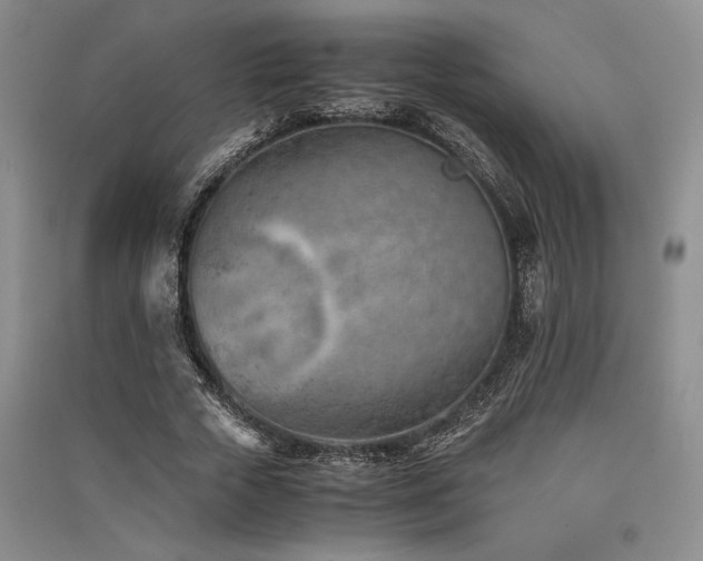 X0000091520729200708171216