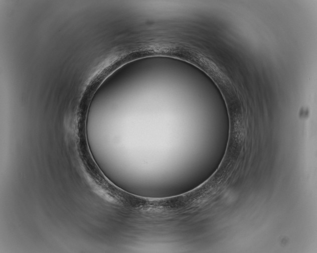 X0000091520730200708171216
