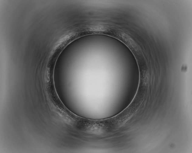 X0000091520731200708171216