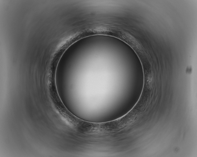X0000091520732200708171216