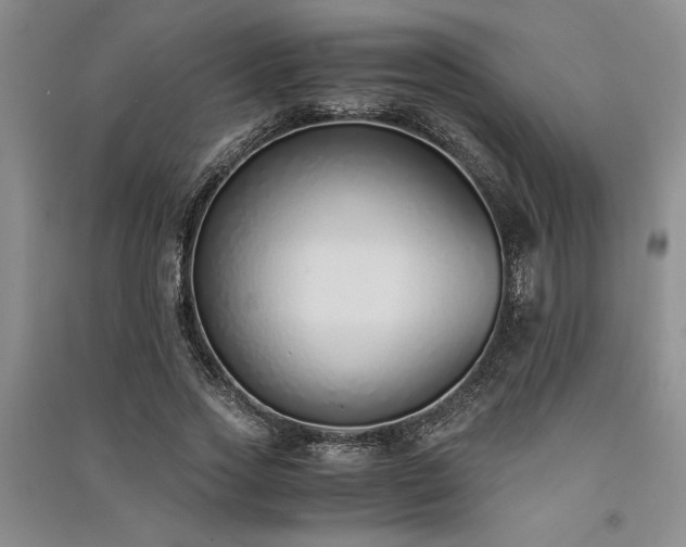 X0000091520733200708171216