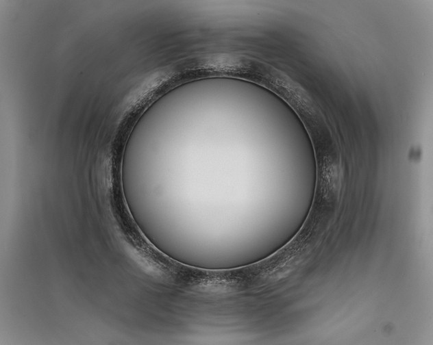 X0000091520734200708171216