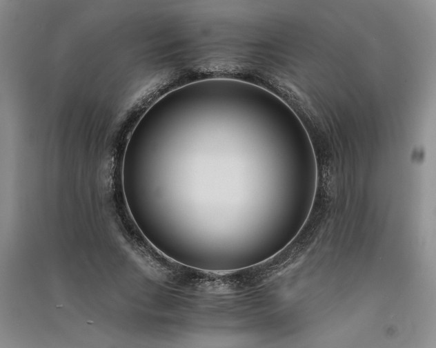 X0000091520735200708171216