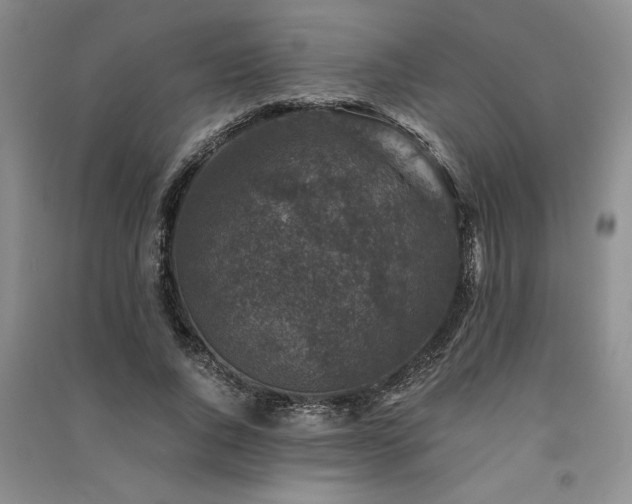 X0000091520736200708171216