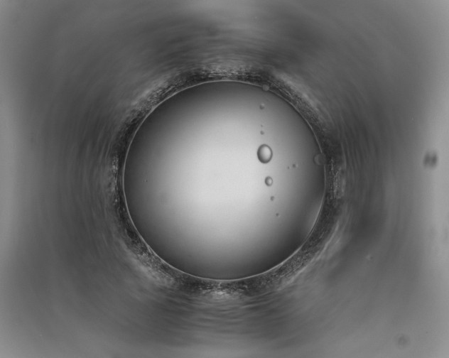 X0000091520737200708171216