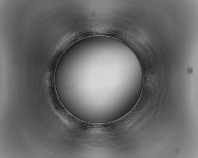 X0000091520738200708171216