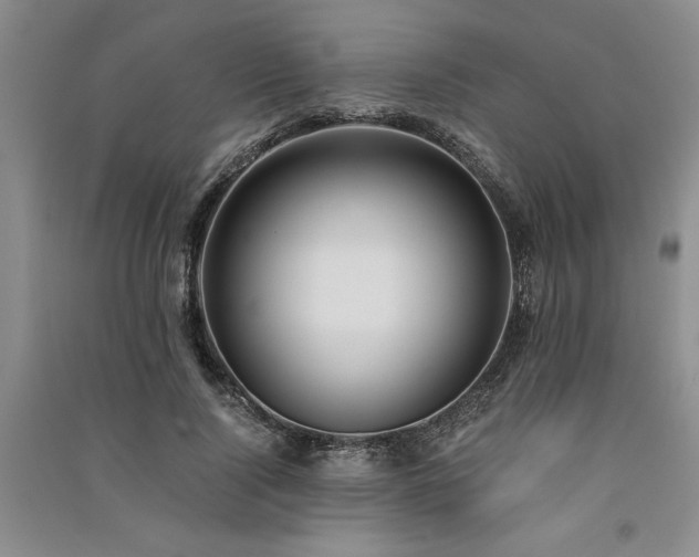 X0000091520740200708171216