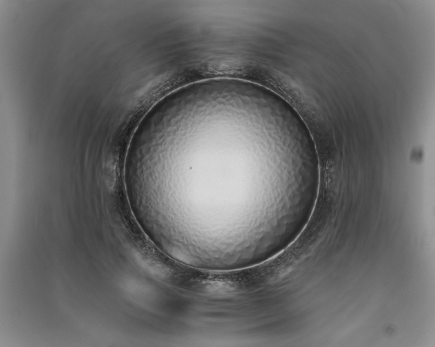 X0000091520741200708171216