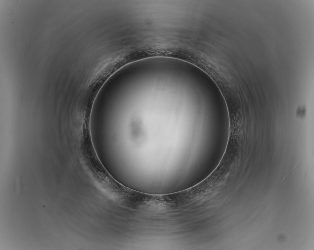X0000091520742200708171216