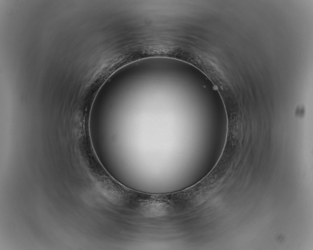 X0000091520743200708171216