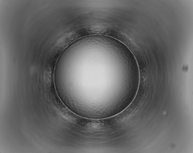 X0000091520745200708171216