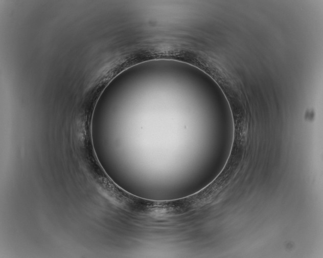X0000091520746200708171216