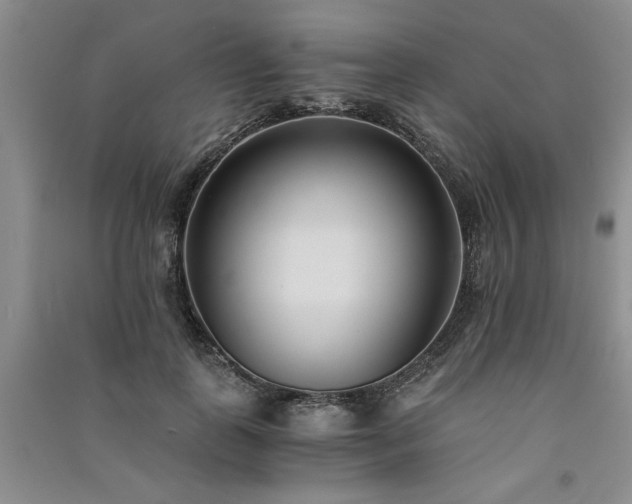 X0000091520747200708171216