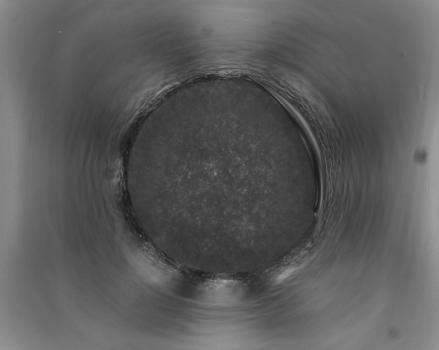 X0000091520748200708171216