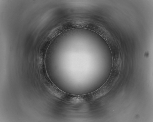 X0000091520749200708171216