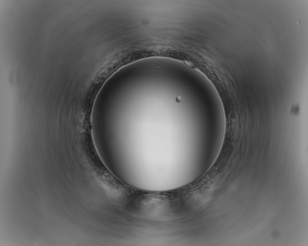 X0000091520750200708171216