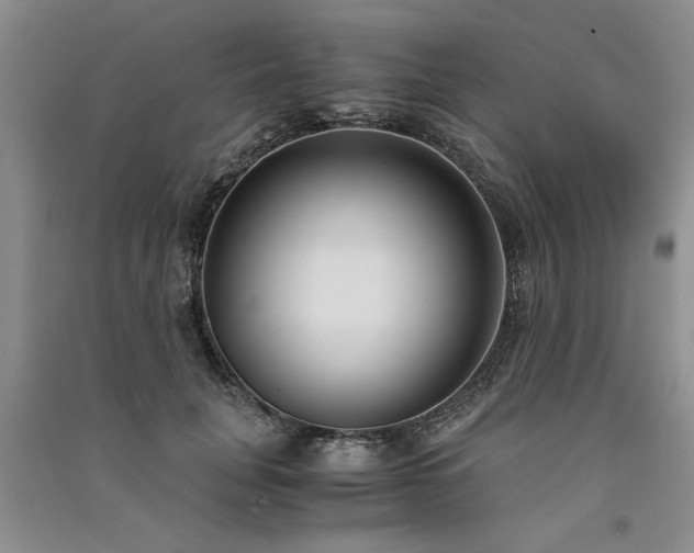 X0000091520751200708171216