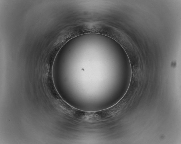 X0000091520752200708171216