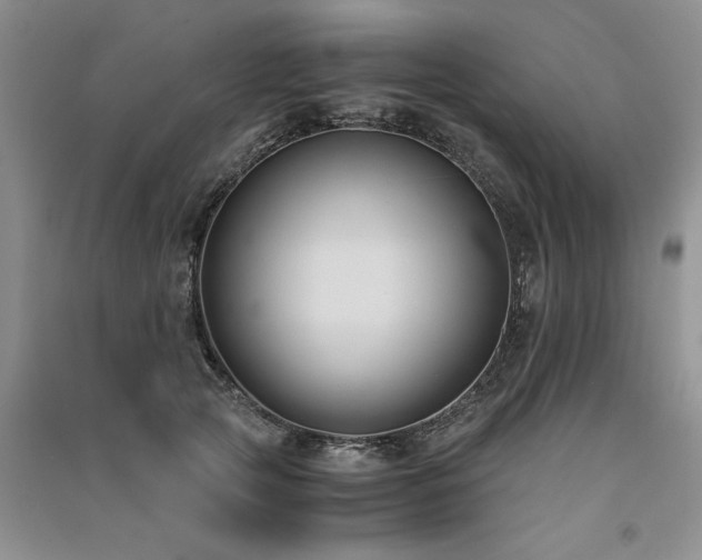 X0000091520753200708171216