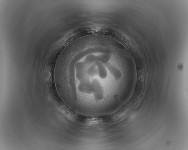 X0000091520754200708171216