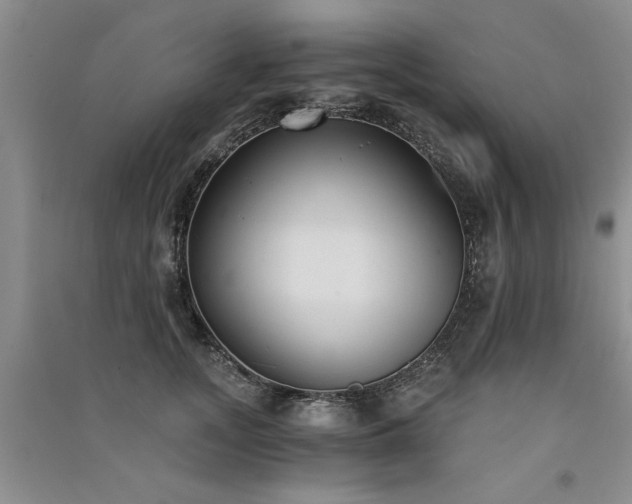X0000091520755200708171216