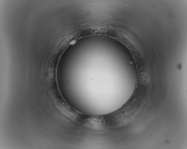 X0000091520756200708171216