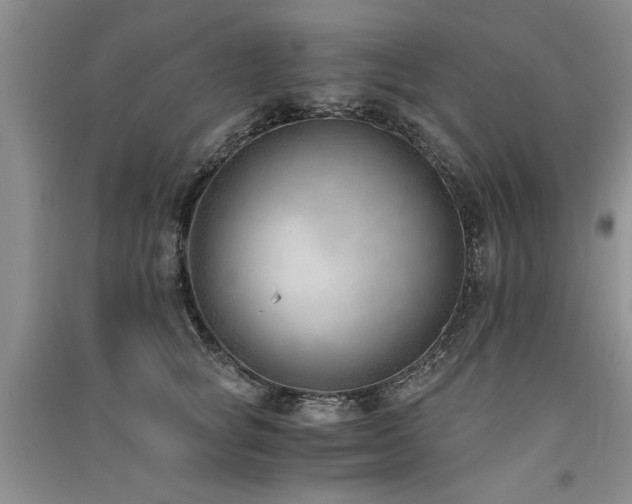 X0000091520757200708171216