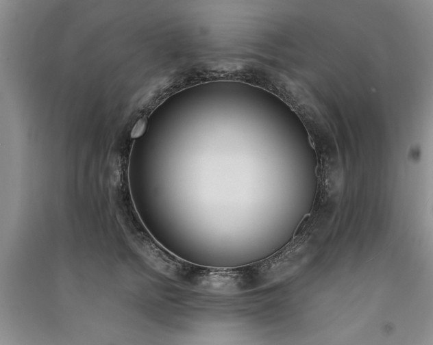X0000091520758200708171216