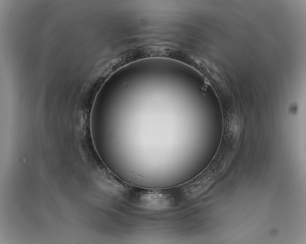 X0000091520759200708171216