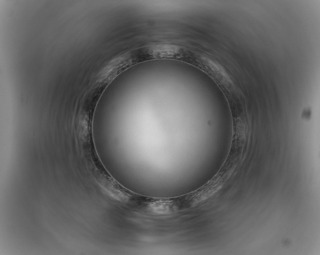 X0000091520761200708171216