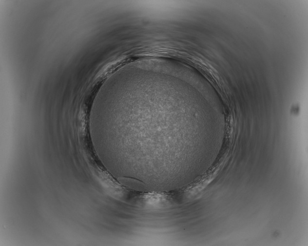 X0000091520762200708171216