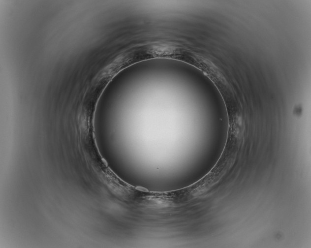X0000091520763200708171216