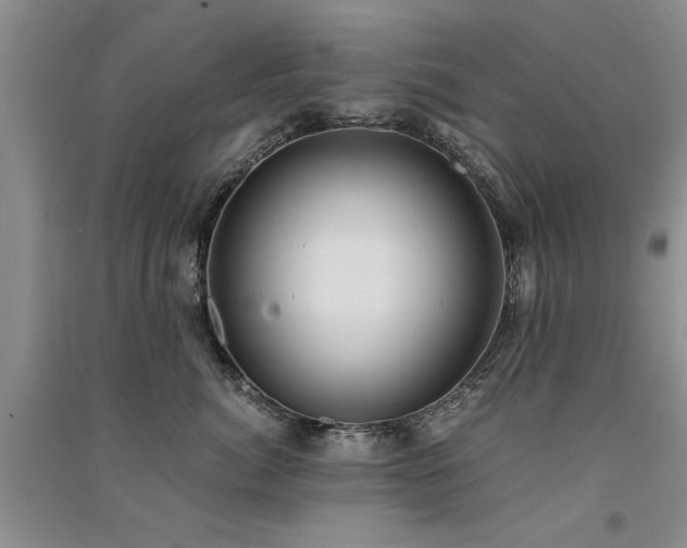 X0000091520764200708171216
