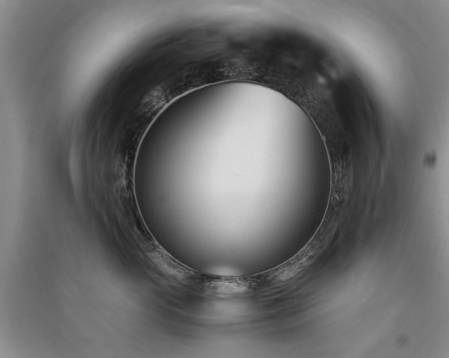 X0000091520765200708171216