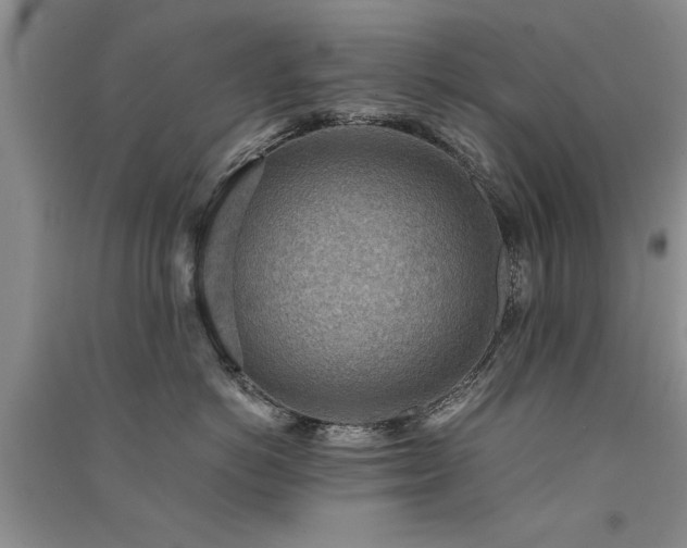 X0000091520766200708171216