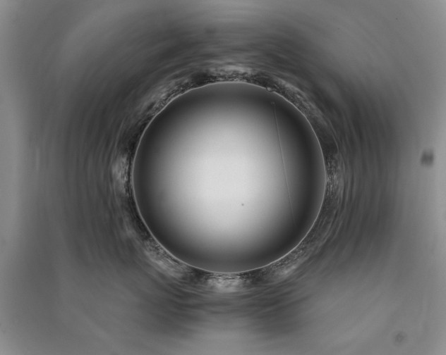 X0000091520767200708171216