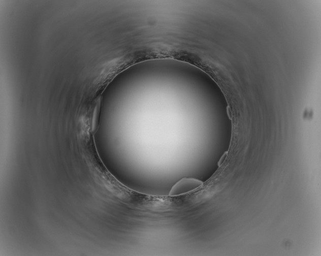 X0000091520768200708171216