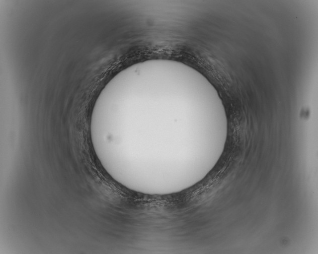 X0000091520769200708171216