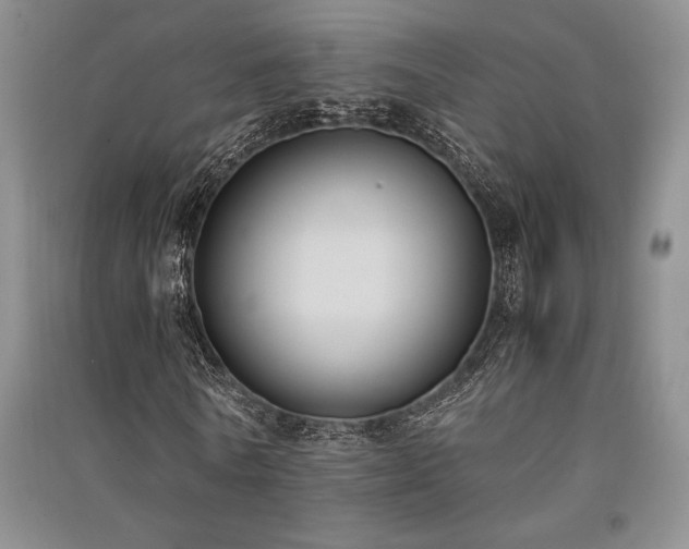 X0000091520770200708171216