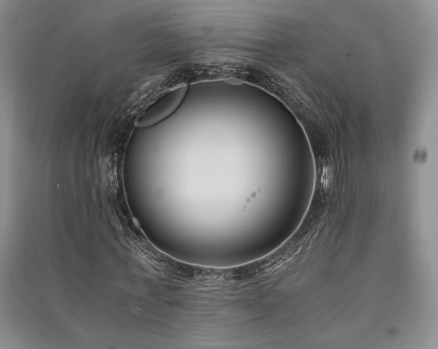 X0000091520771200708171216