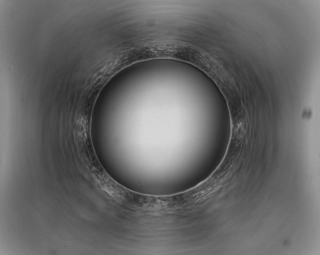 X0000091520772200708171216